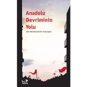 Anadolu Devriminin Yolu