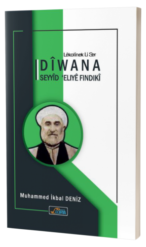 DÎWANA SEYÎD 'ELİYÊ FINDIKÎ