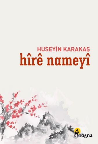 HIRE NAMEYI