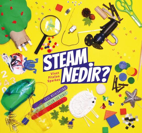 STEAM Nedir?